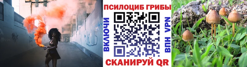 Псилоцибиновые грибы Magic Shrooms  Кохма 